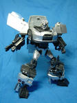 DSC02411.JPG