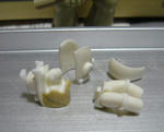 DSC02456.JPG