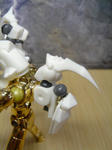 DSC02562.JPG