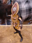 DSC02917.JPG