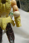 DSC03184.JPG