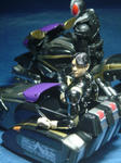 DSC03556.JPG