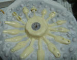 DSC03734.JPG