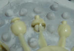 DSC03733.JPG