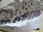 DSC03933.JPG