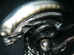 DSC04797.JPG