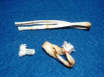 DSC05033.JPG