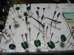 DSC05140.JPG