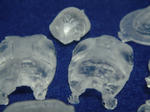 DSC05241.JPG
