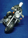 DSC05408.JPG