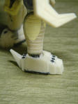 DSC05448.JPG