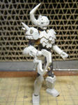 DSC05554.JPG