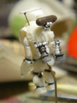 DSC05579.JPG
