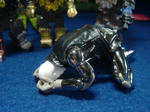 DSC05714.JPG