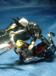 DSC05771.JPG