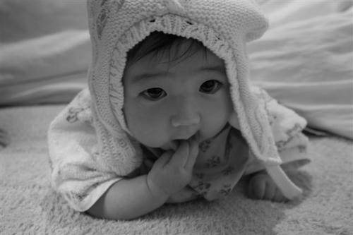 うちのはな