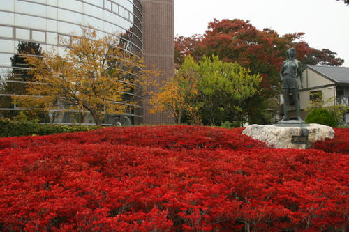 紅葉