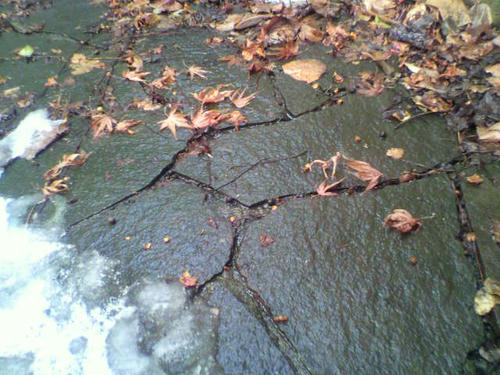 2011021513160000.jpg