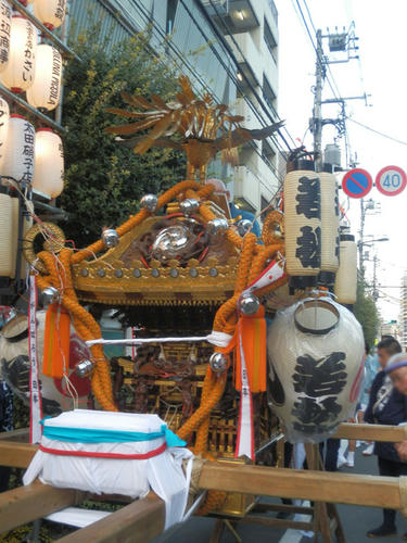 P9110128-.jpg