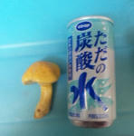 110404_193747.jpg