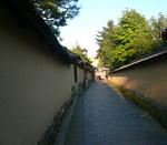 P1070538.jpg