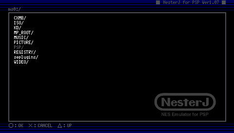 IWFP-NES.jpg
