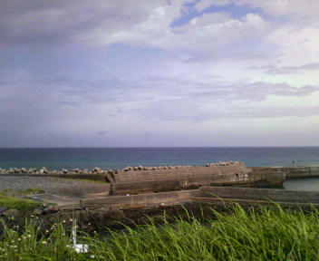 P1010004.JPG