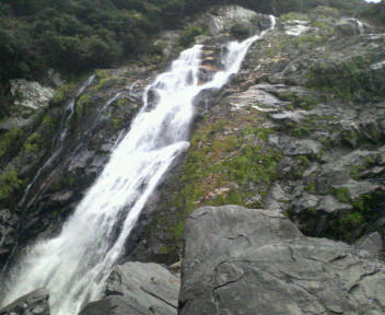 P1010005.JPG