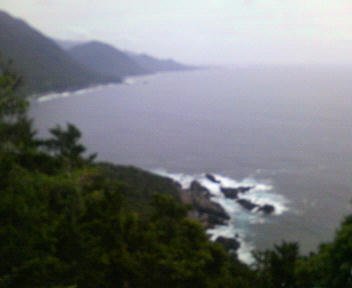 P1010011.jpg