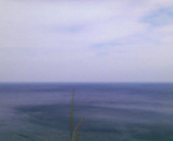 P1010016.jpg