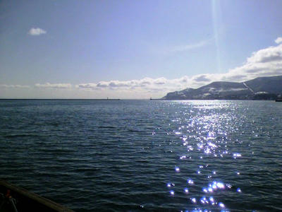 2009032909050000.jpg