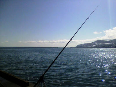 2009032909340000.jpg