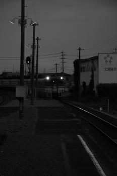 IMG_1089.jpg