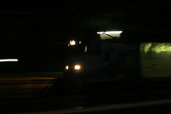 IMG_7180.jpg