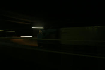 IMG_7545.jpg