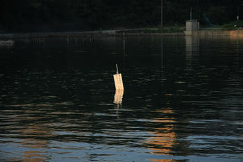 IMG_5171.jpg