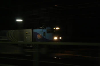 IMG_8016.jpg