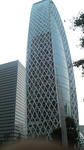 P1000026.JPG