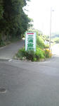 P1000031.JPG