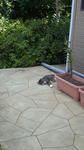 P1000036.JPG