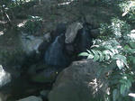 SN3K0024.JPG