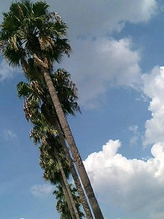 090905_1343~0001.jpg