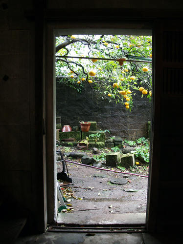 IMGP1734.JPG