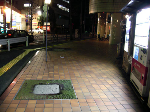 IMGP1756.JPG