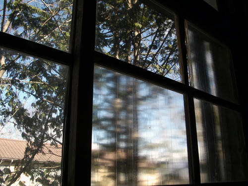 IMGP1824.JPG