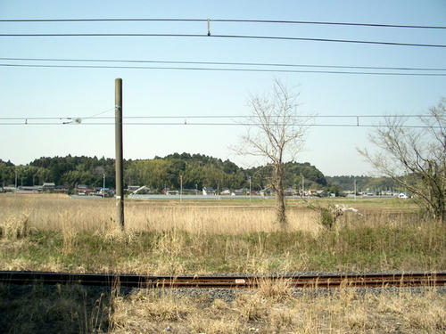 IMGP2259.JPG