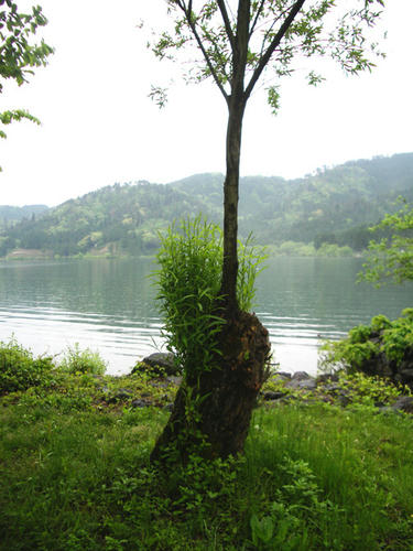 IMGP2339.JPG