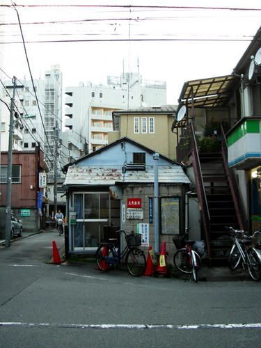 IMGP2591.JPG