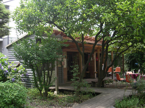 IMGP2704.JPG