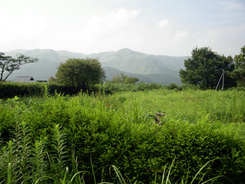 IMGP2981.JPG